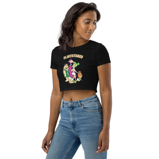 Flintstoned Crop Top